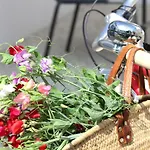 Le Clos Des Vieux Moulins 펜션 라플로트