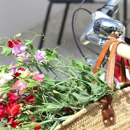 Le Clos Des Vieux Moulins Casa vacanze La Flotte