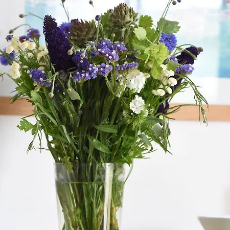 Le Clos Des Vieux Moulins